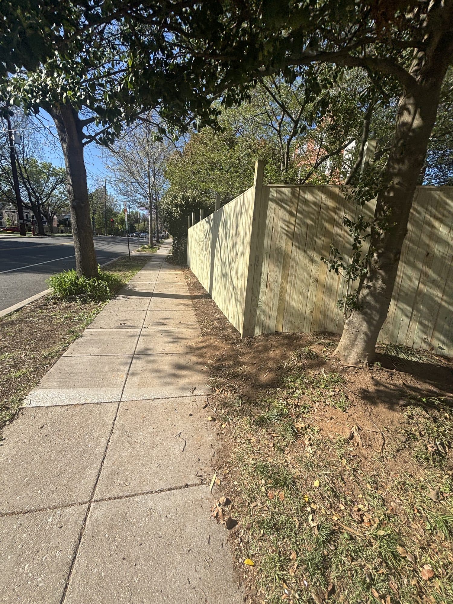 Concrete sidewalk running beside a new wood privacy fence along a tree-lined residential street. Concrete project by Potts Brothers Construction, Arlington & Northern Virginia